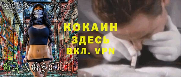 spice Арсеньев