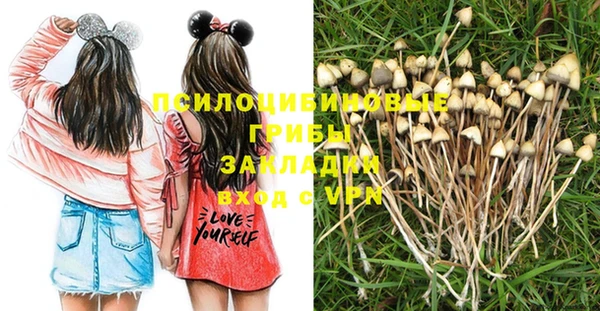 прущие крисы Армянск